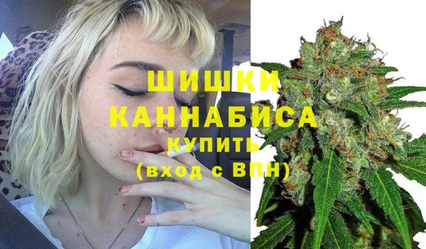 PSILOCYBIN Верхний Тагил