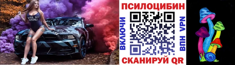 Галлюциногенные грибы Psilocybe  Новое Девяткино 